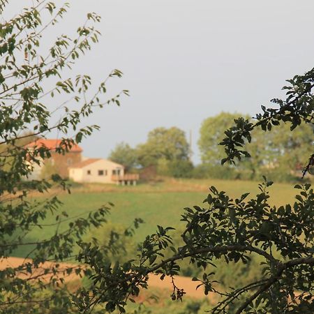 Pour Les Amoureux De La Nature. Saint-Cirgue Exterior foto